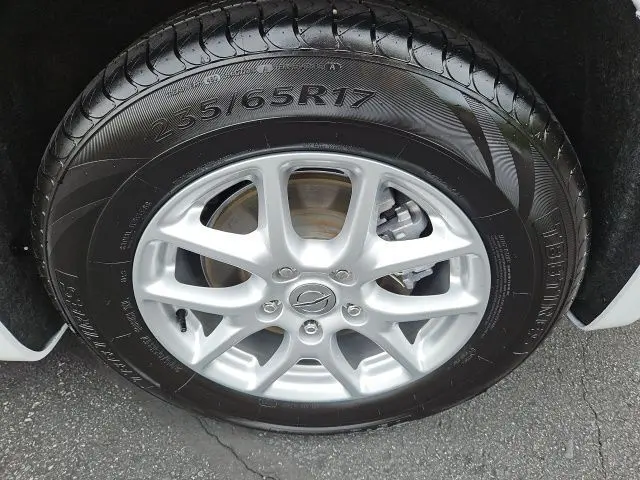image-11