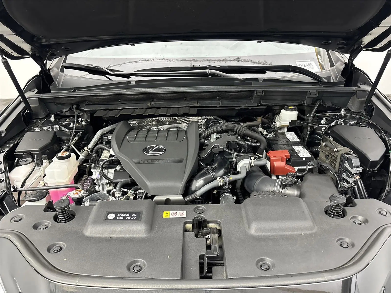 image-19