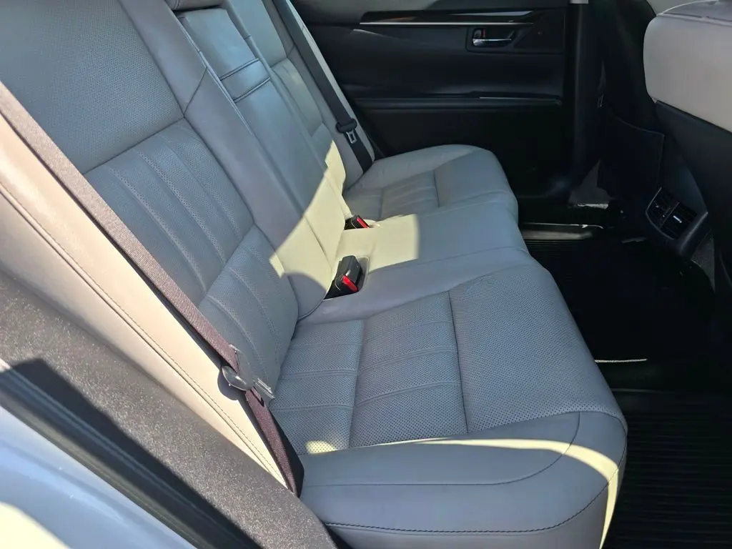 2018 Lexus ES 300h photo 18