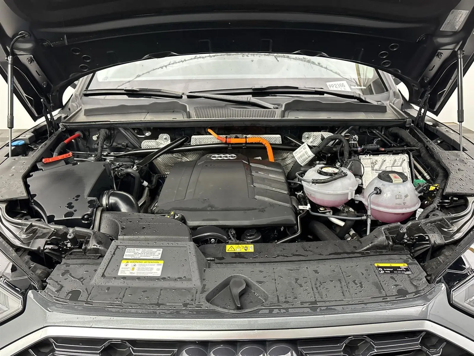 image-19