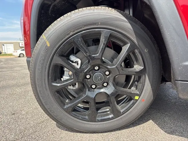 image-7