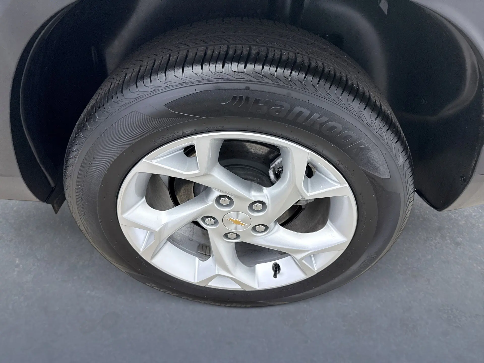 image-19