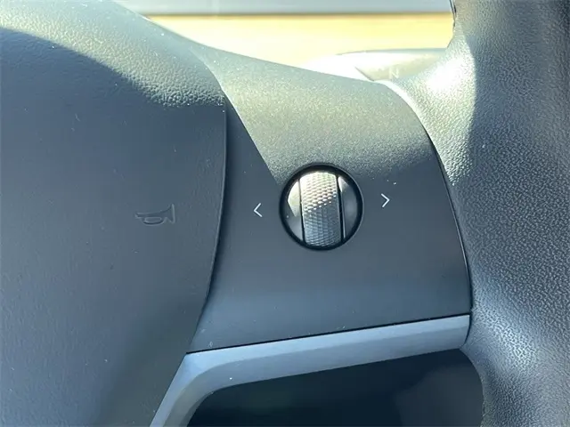 2020 Tesla Model 3 photo 12