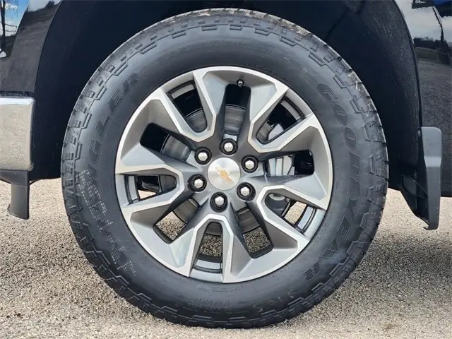 image-7