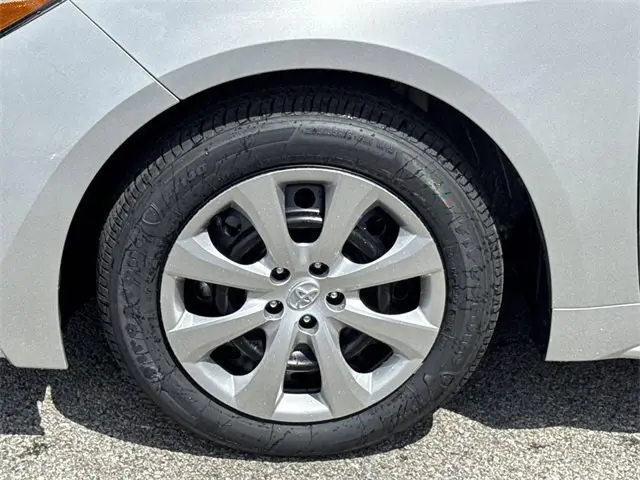 image-19