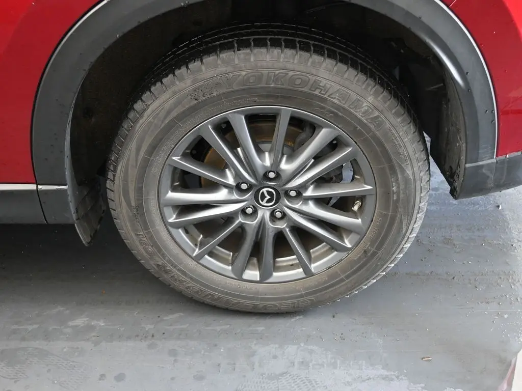 image-11