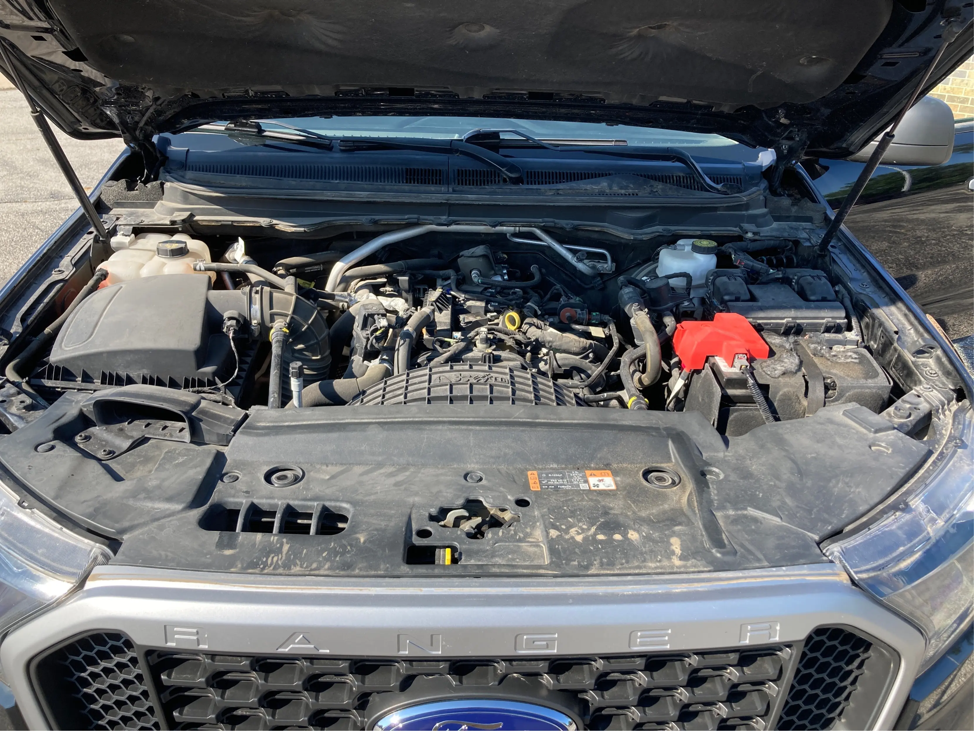 image-10
