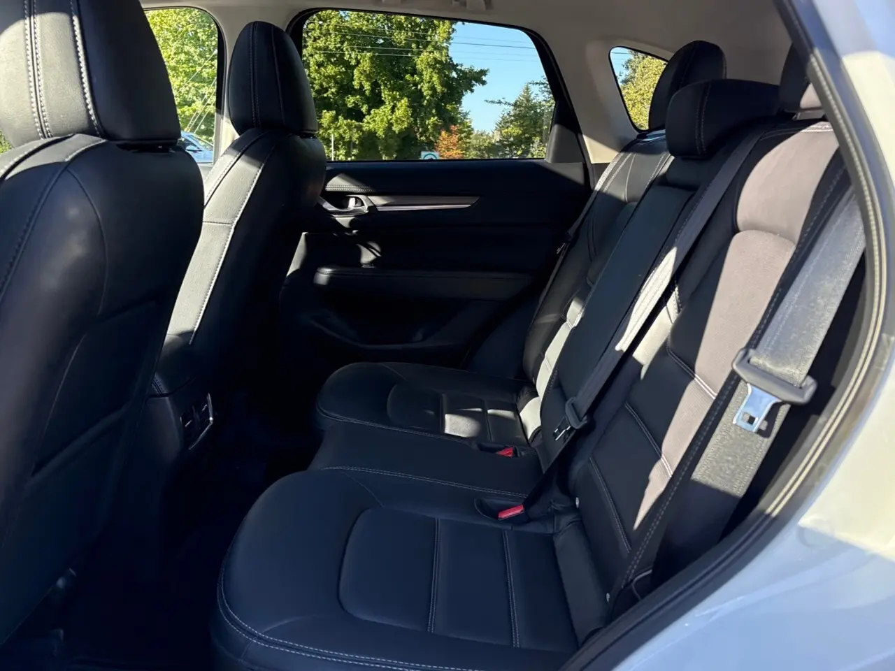 image-12