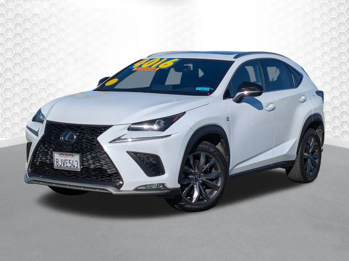 2019 Lexus NX 300 F SPORT