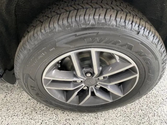 image-19