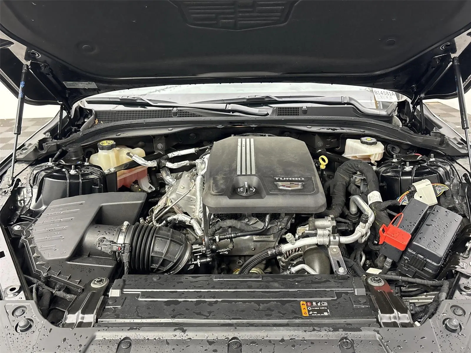 image-19