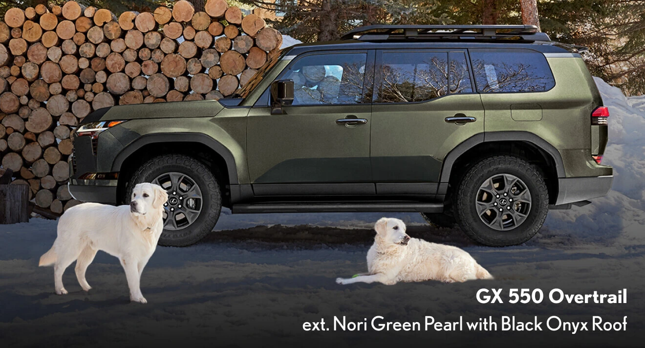 Who Should Buy the GX?