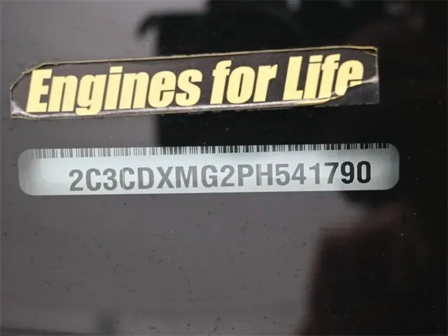 image-19