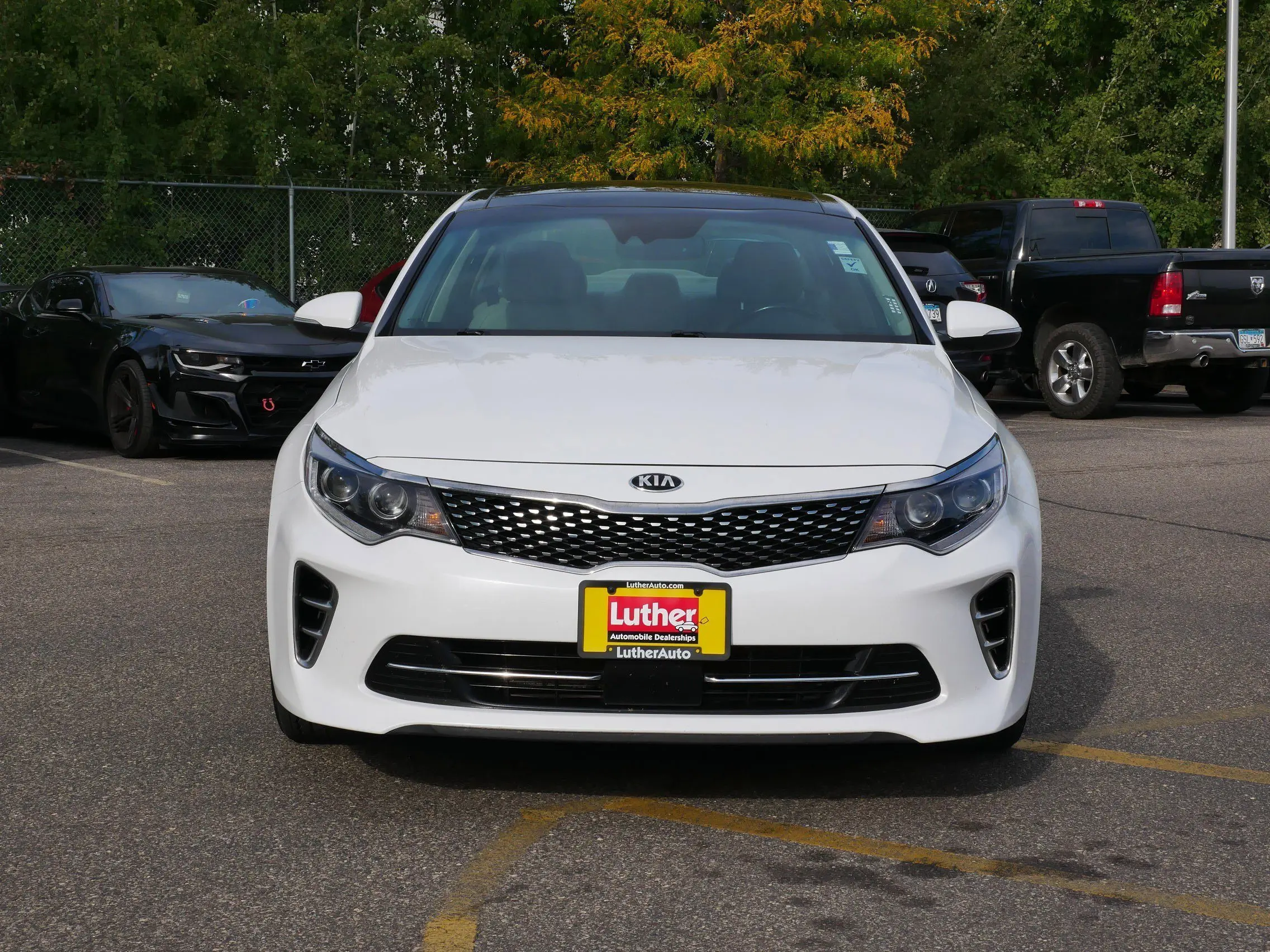 image-1