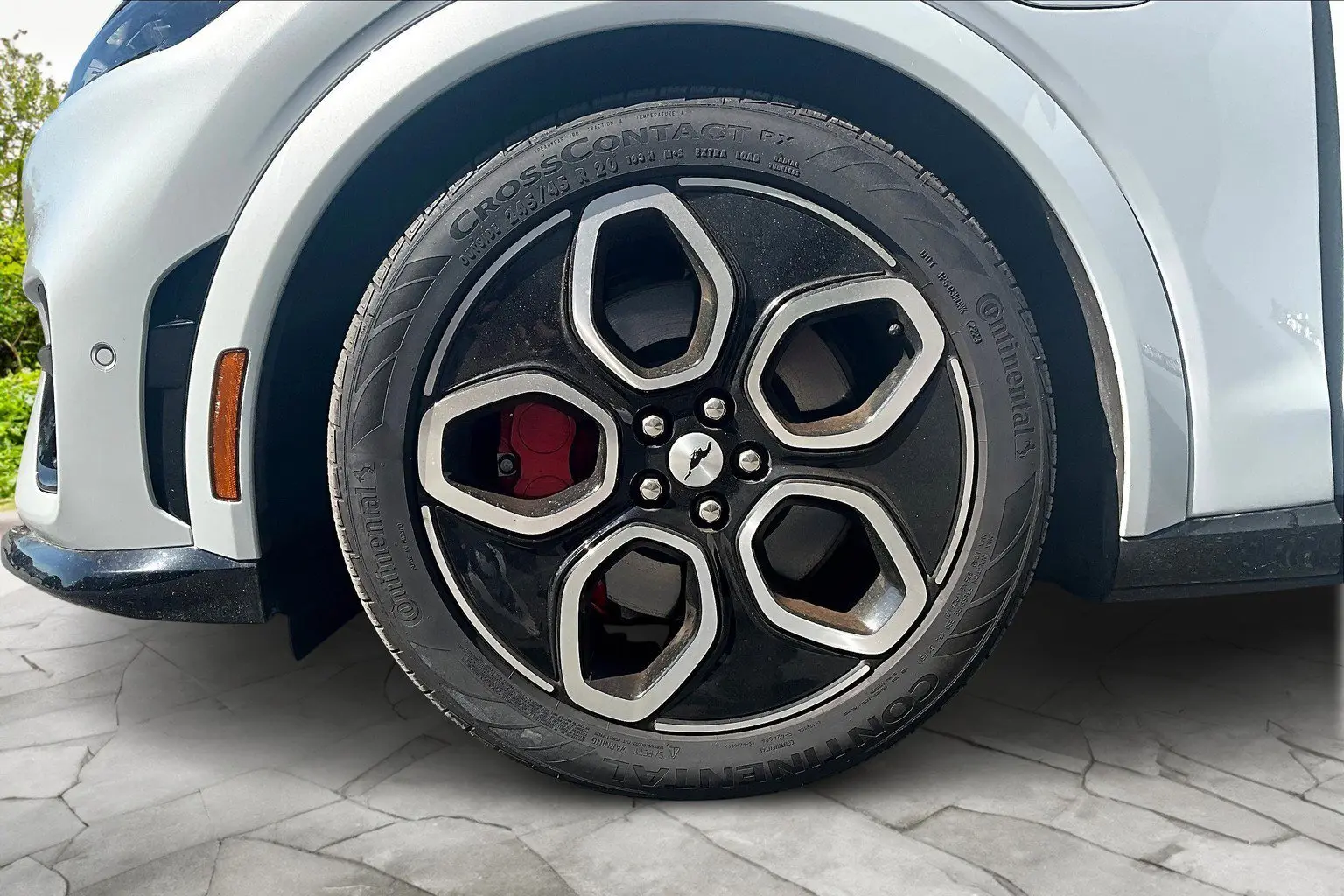 image-8