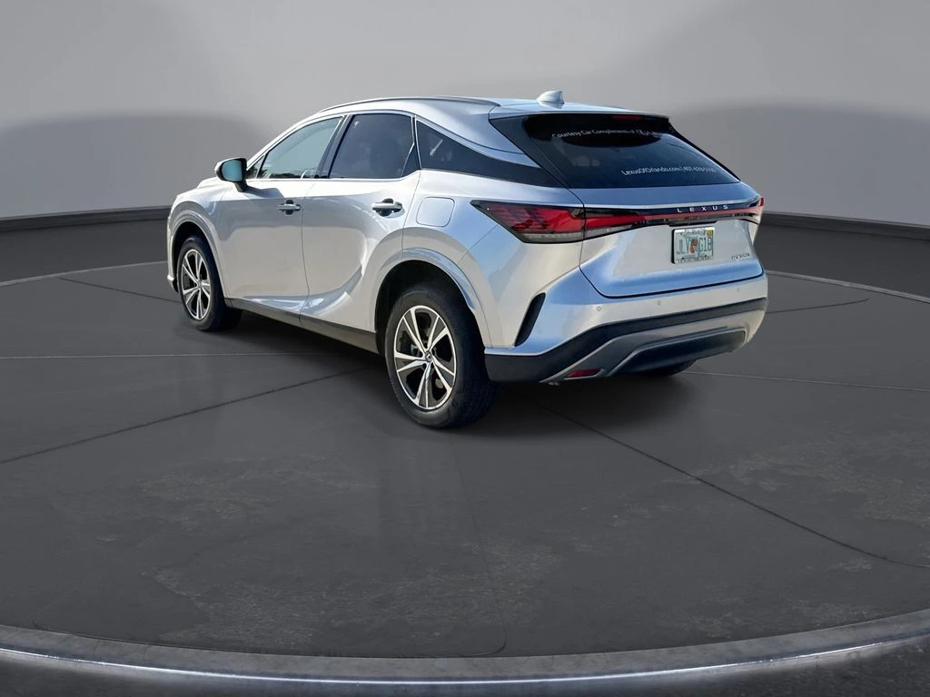2025 Lexus RX 350 - Photo 10