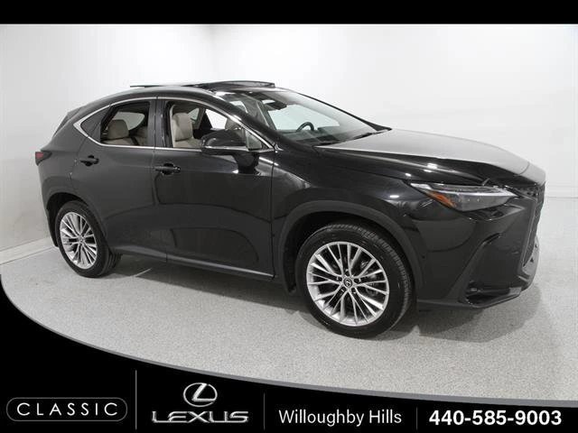 2025 Lexus NX