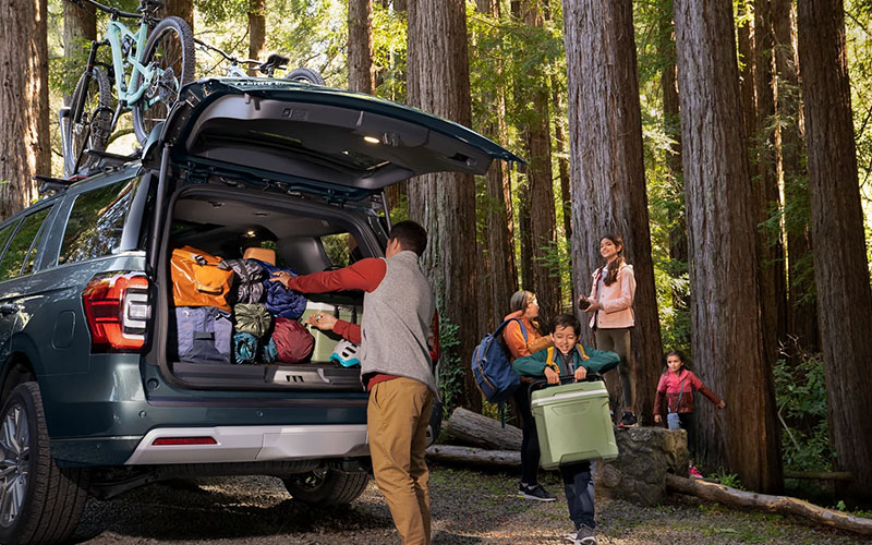Ford Expedition Liftgate