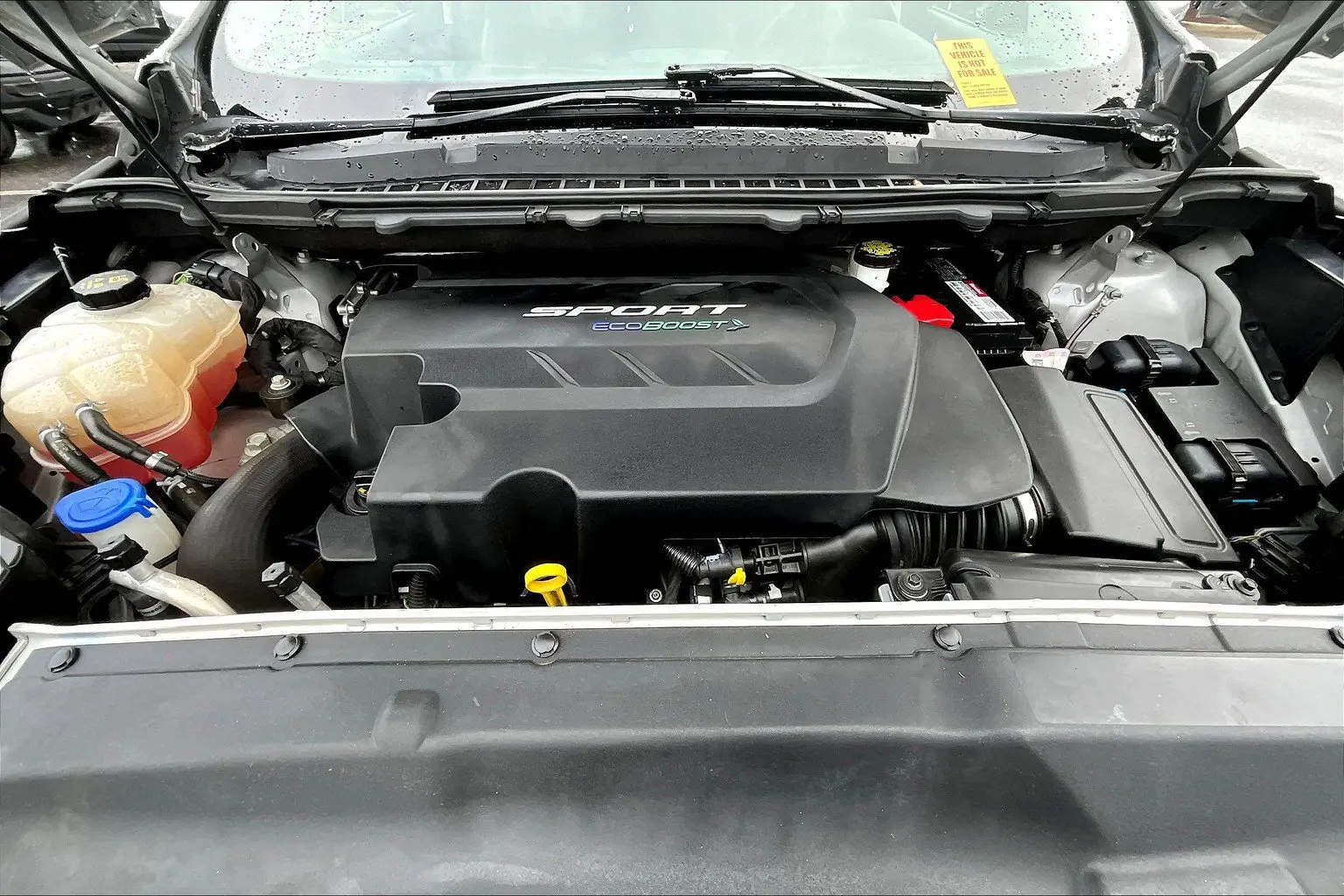 image-9