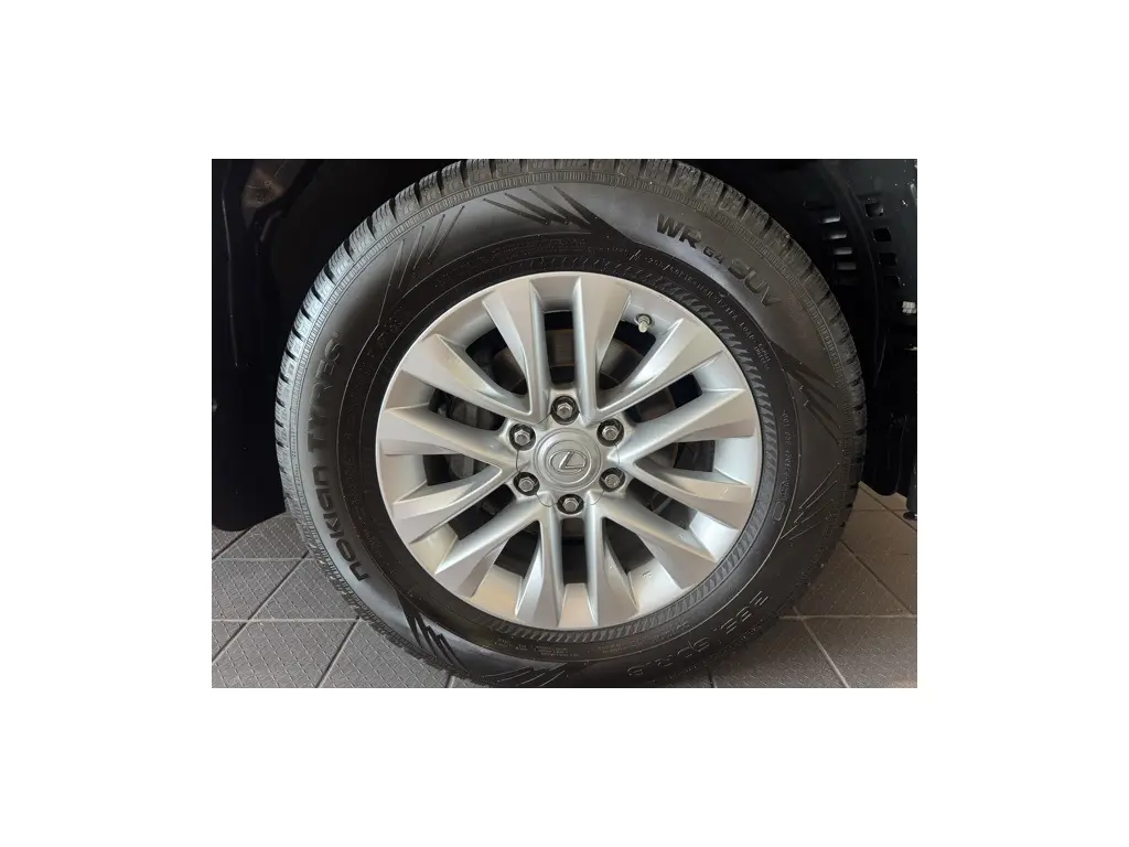 image-7