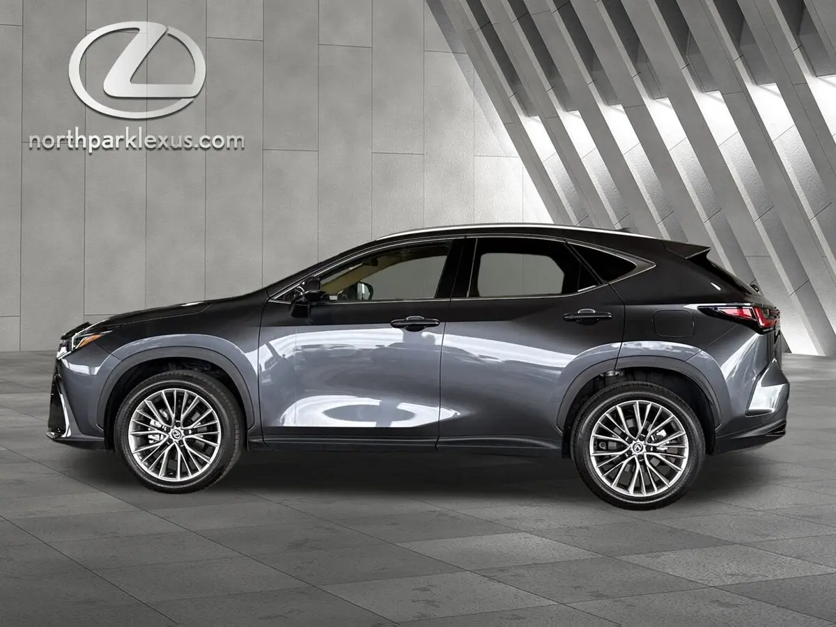 2025 Lexus NX 350's photo