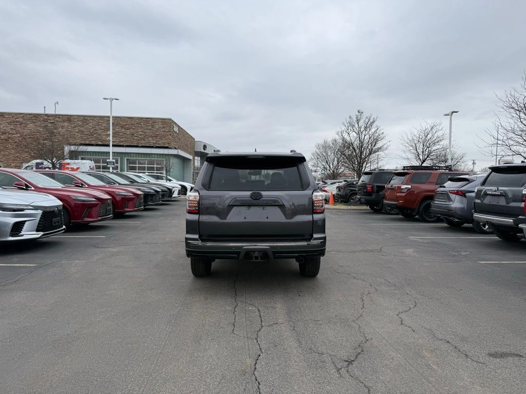 image-19