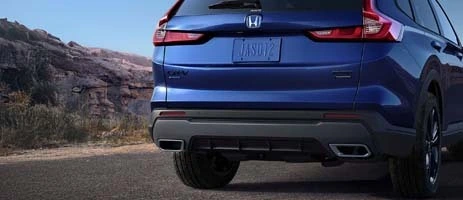 Dual Chrome Exhaust Finishers