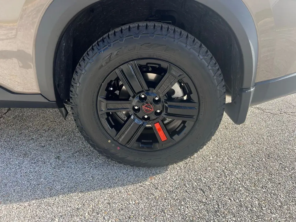 image-11