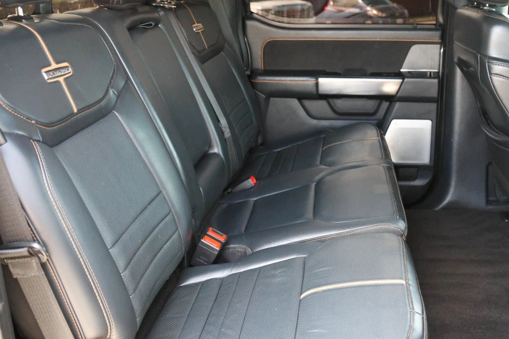 2021 Ford F-150 Platinum - Photo 21