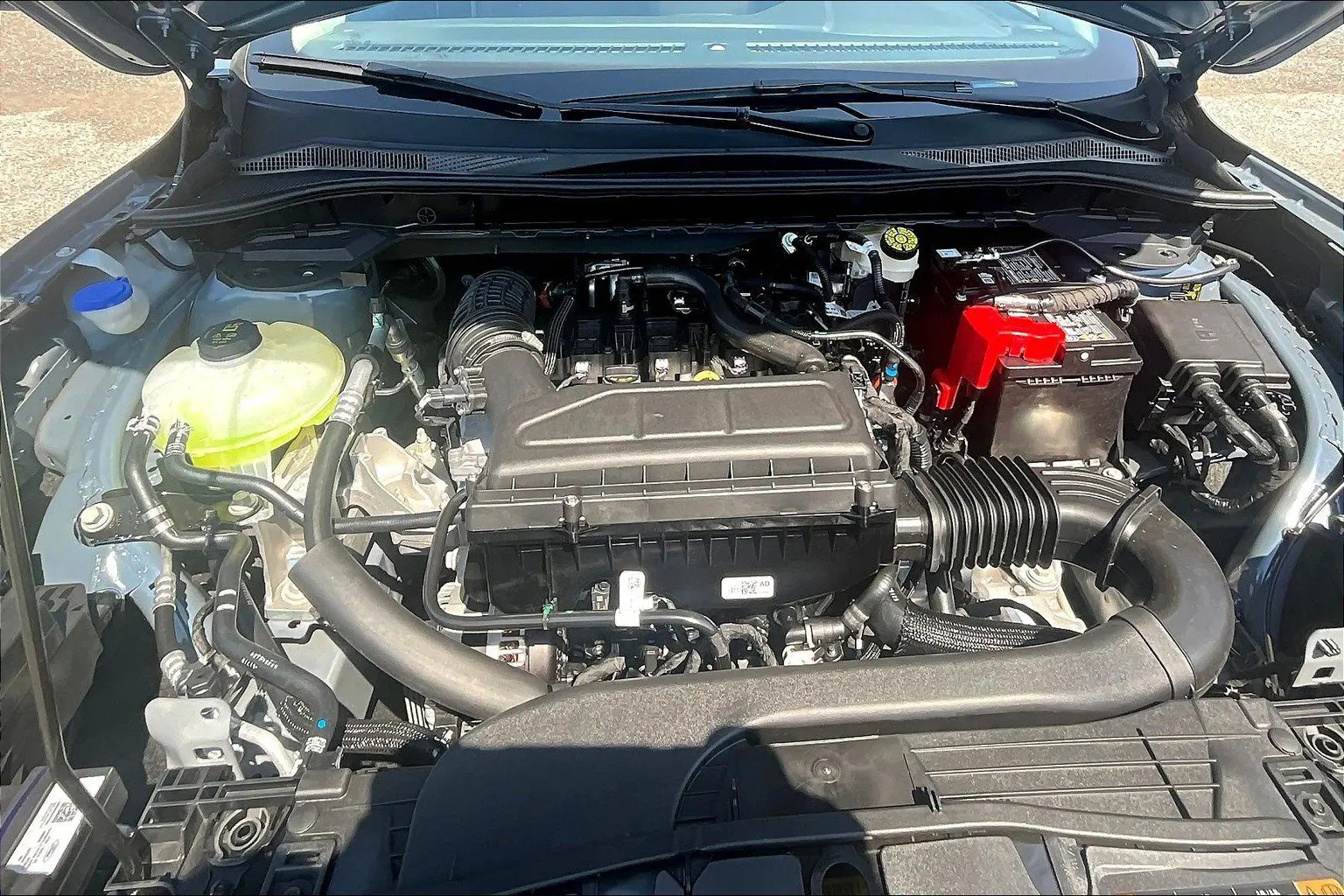 image-10