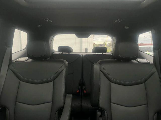 image-19