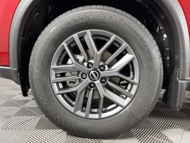 image-11