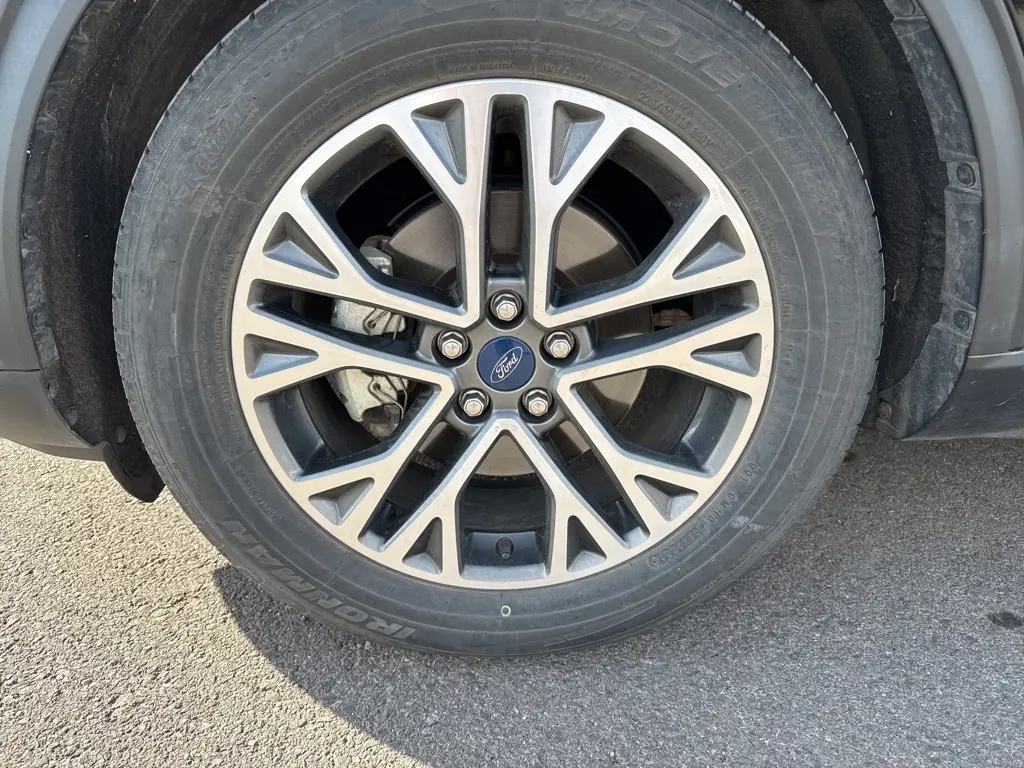 image-7