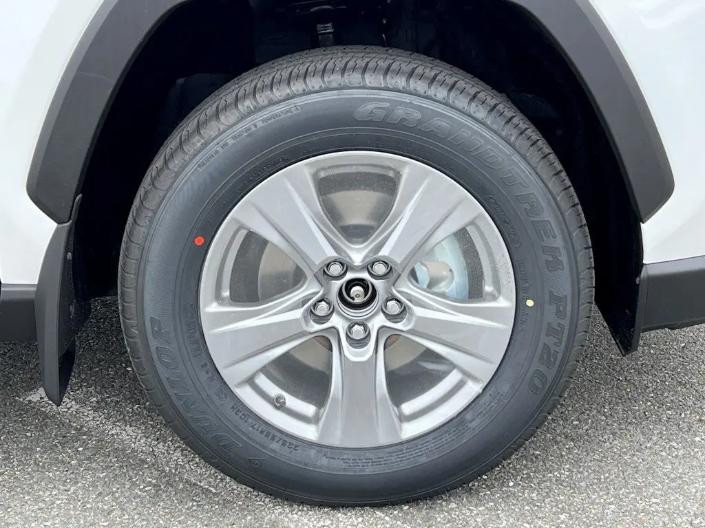 image-4