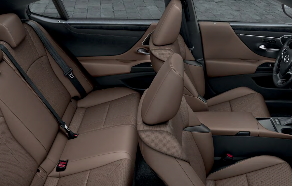 2025 Lexus 300h Front and Rear Rows