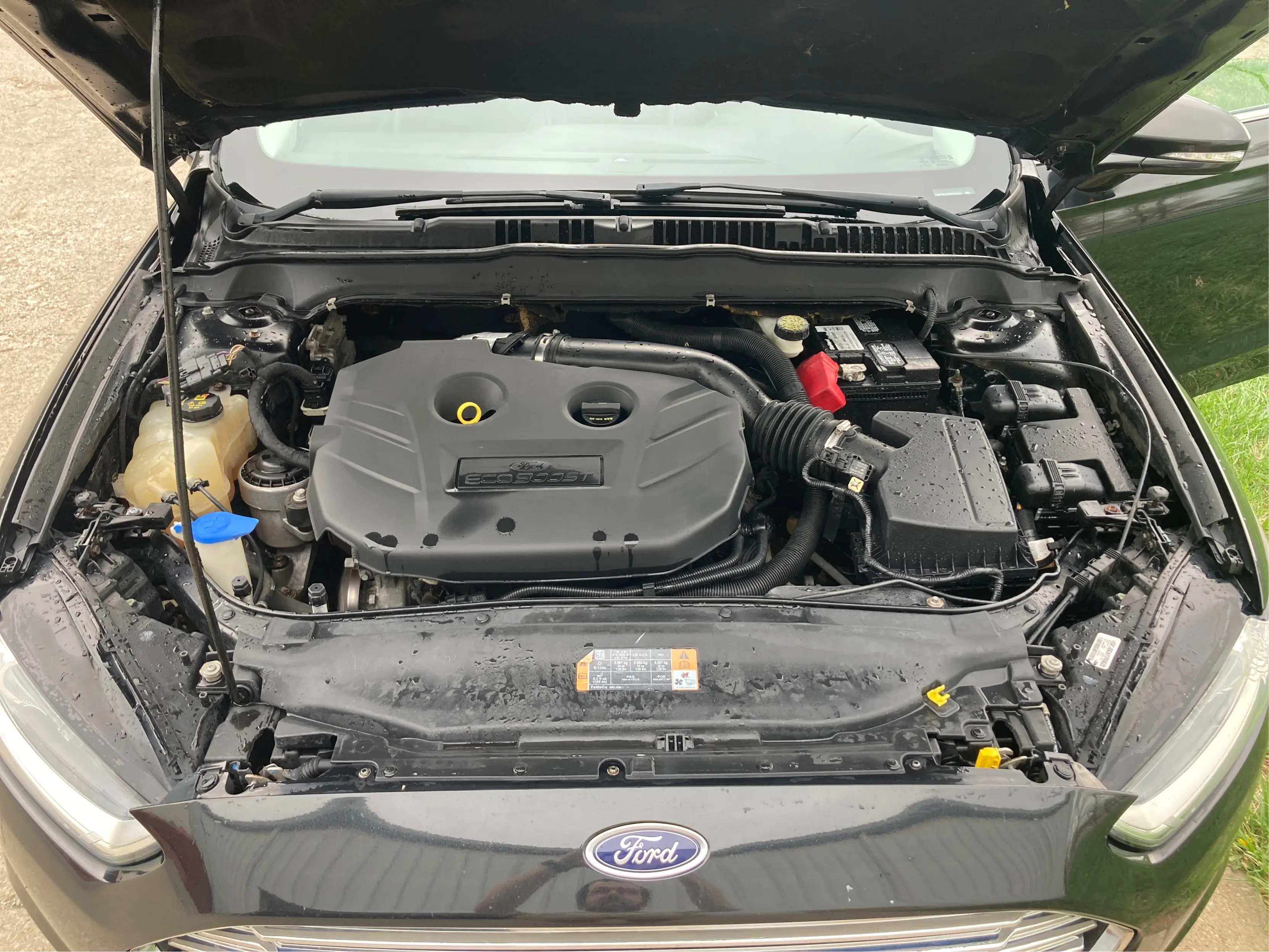 image-10