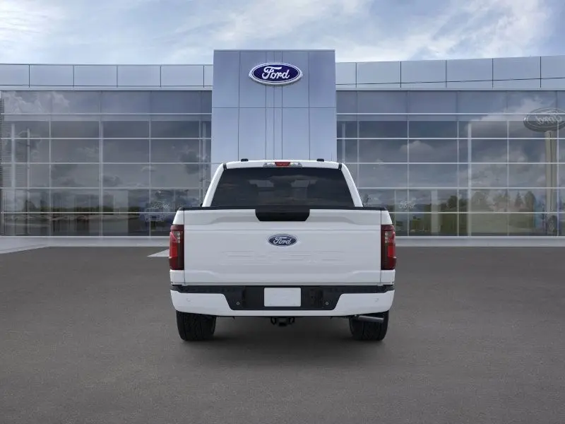 2025 Ford F-150 STX photo 5