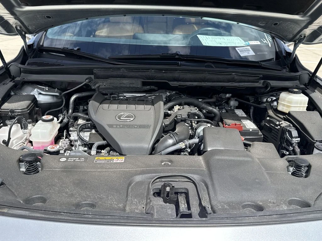 image-13