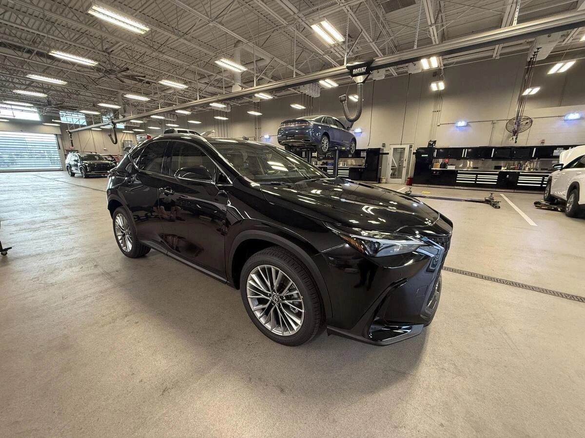 2026 Lexus NX 350 350 Premium AWD's photo