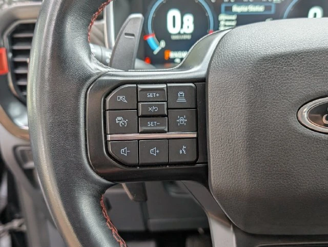 2023 Ford F-150 Raptor - Photo 13