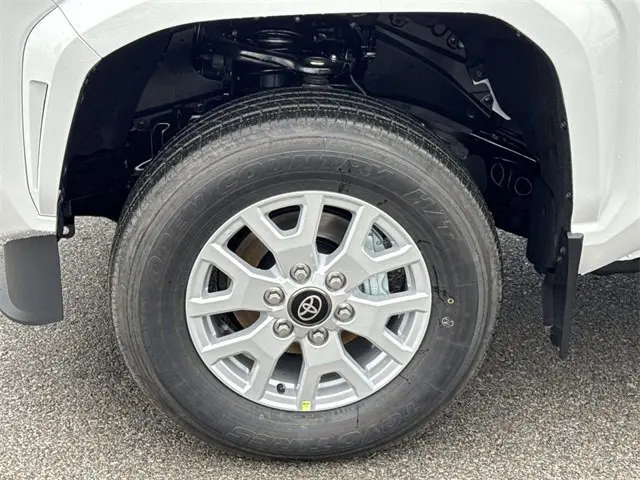 image-19