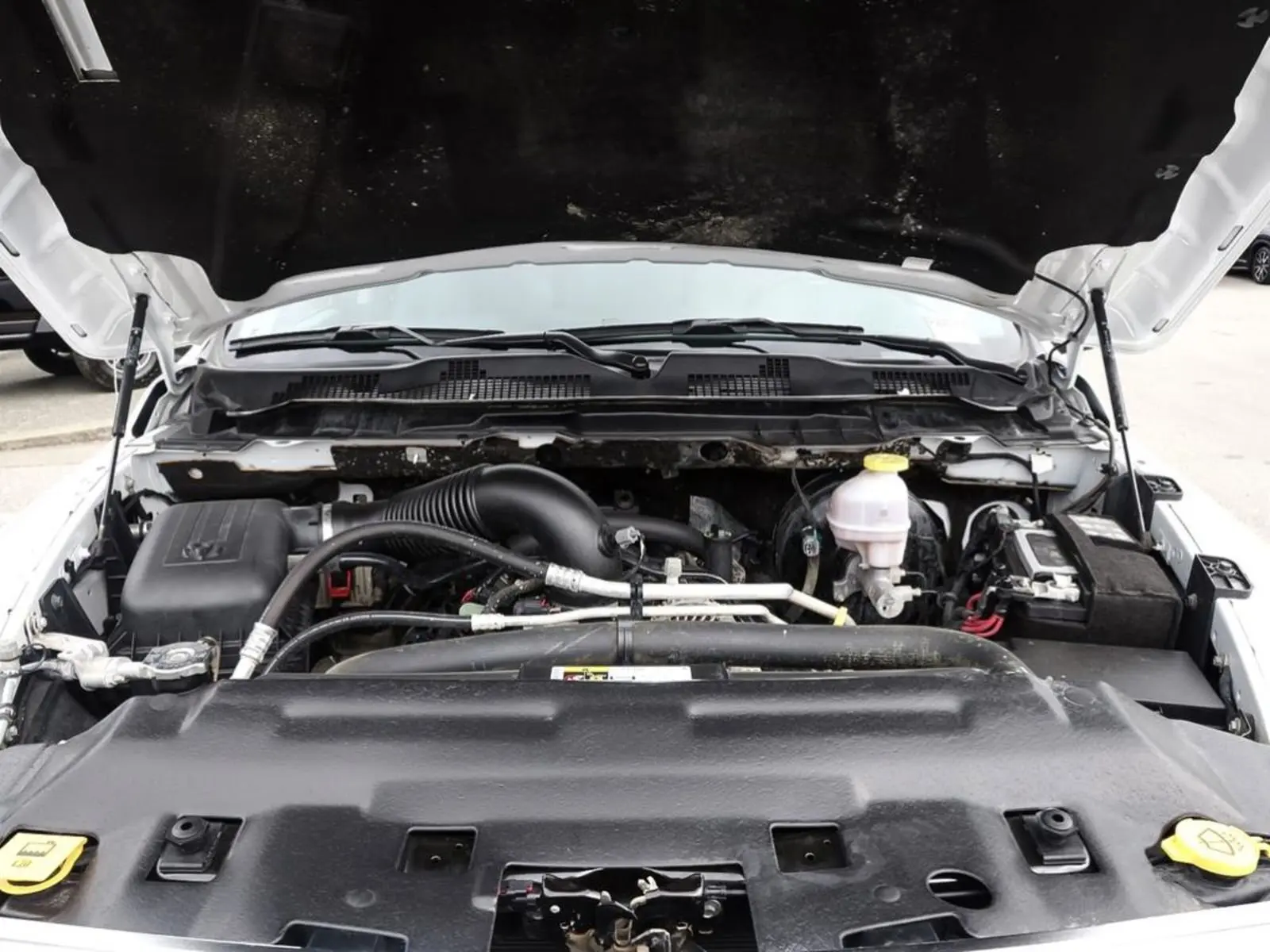 image-7