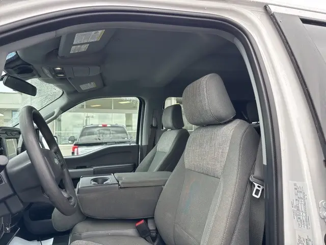 image-11