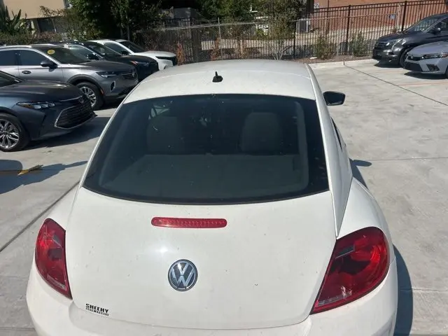 image-7