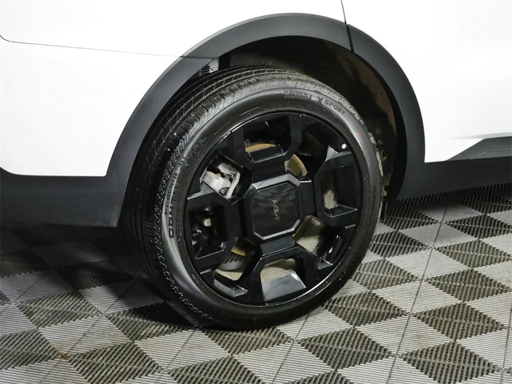 image-8