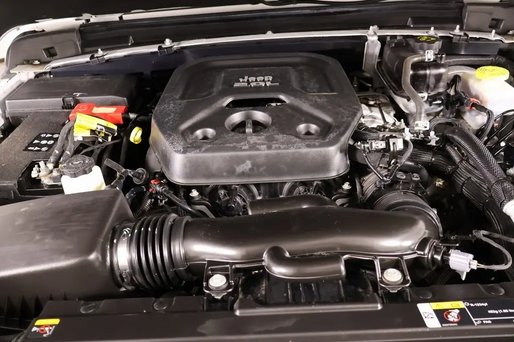 image-19