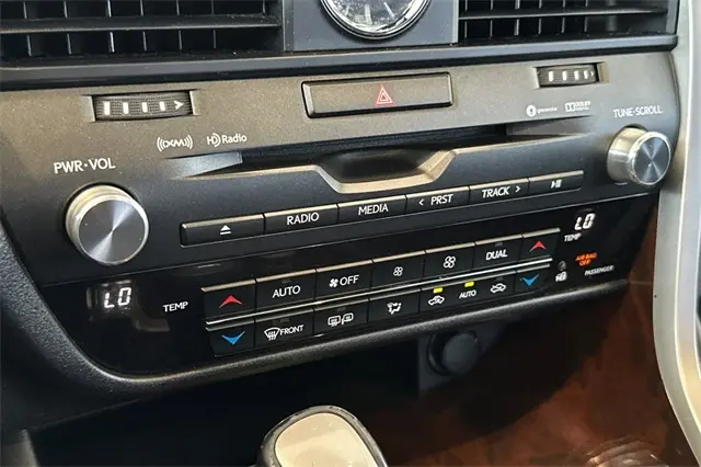 image-19