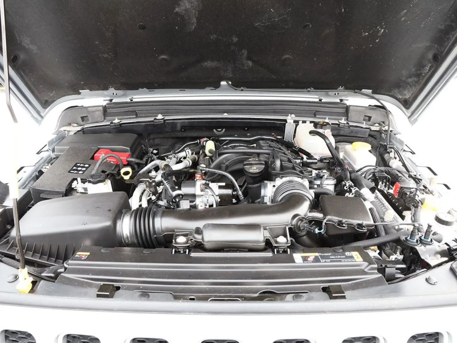 image-7