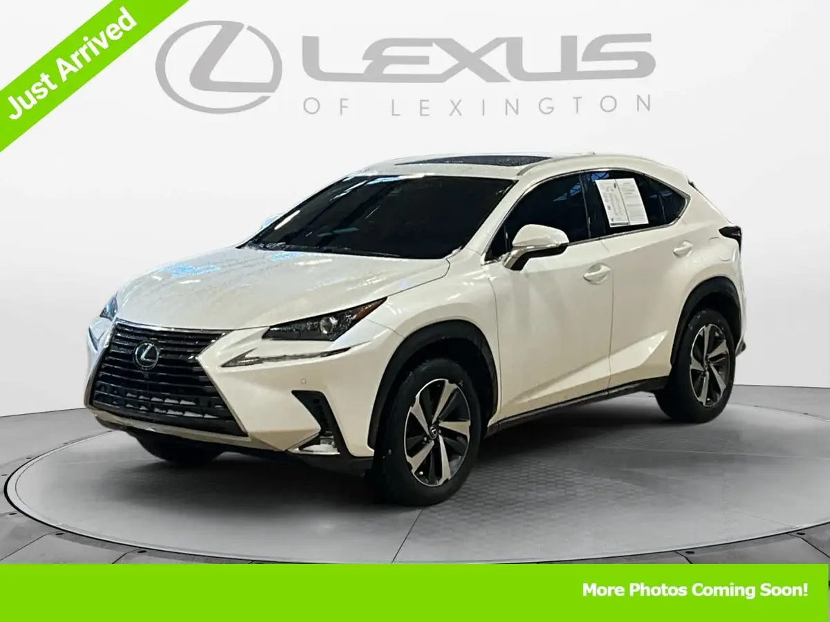 2019 Lexus NX 300's photo
