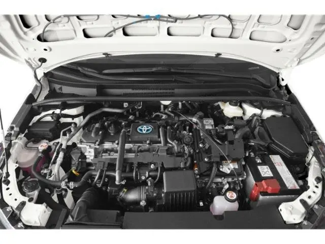 image-14